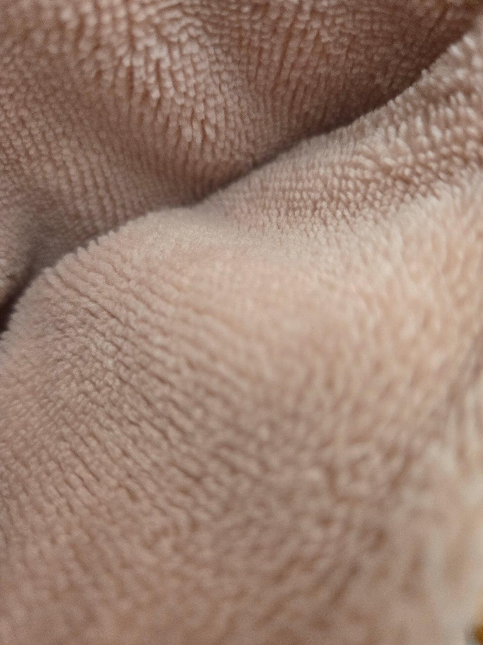 Coffret de lecture automnale – Image 7