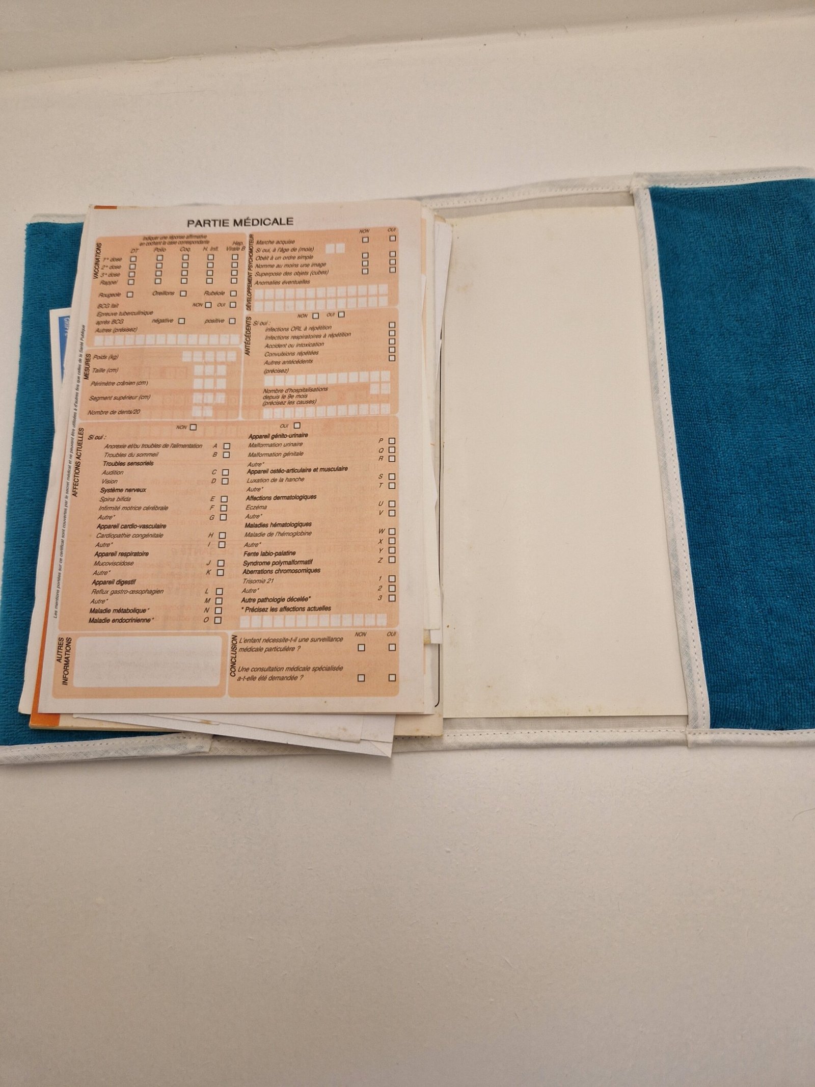 Protège carnet de santé brodé – Image 4