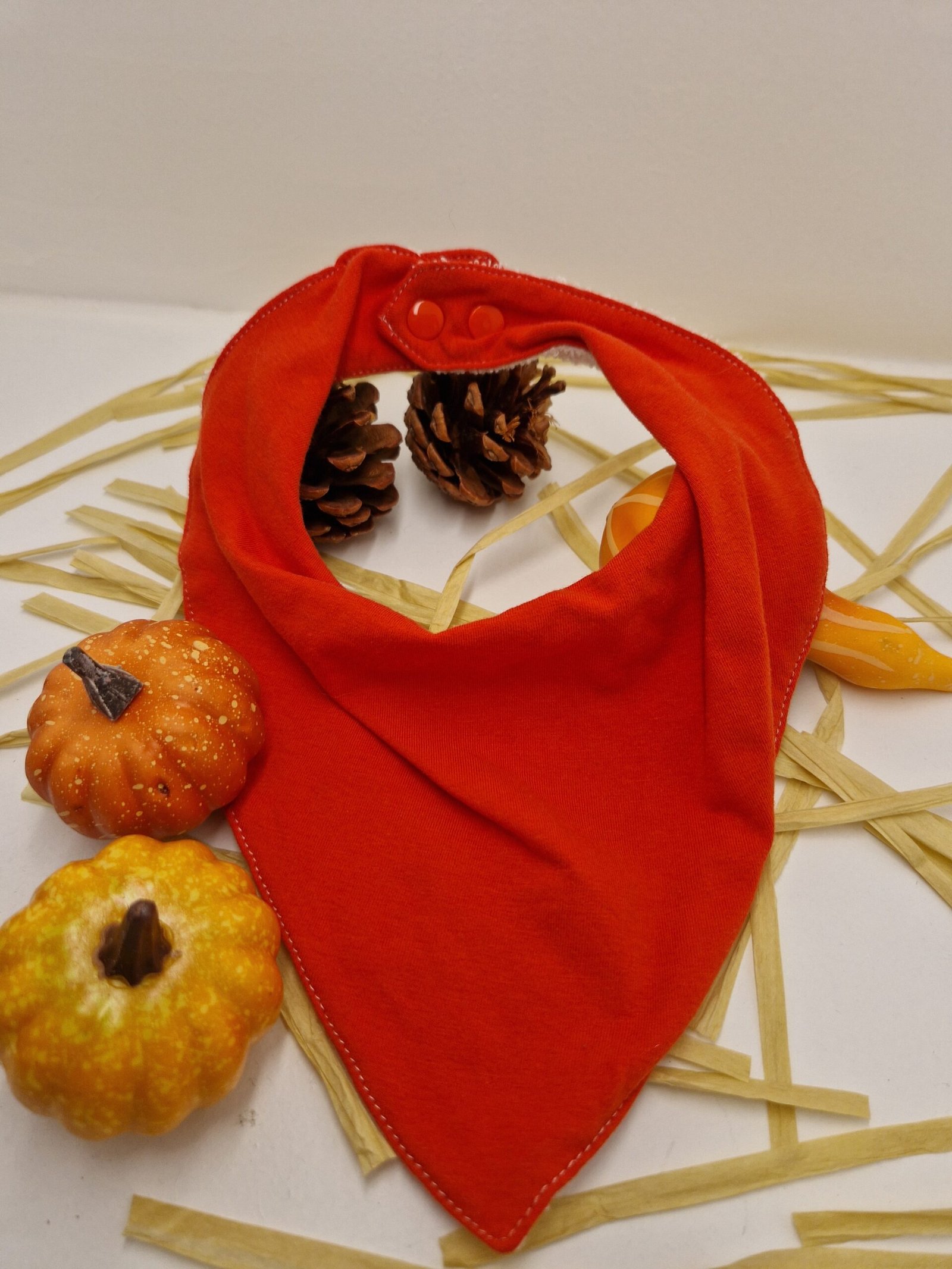 Bavoirs Bandana – Image 4