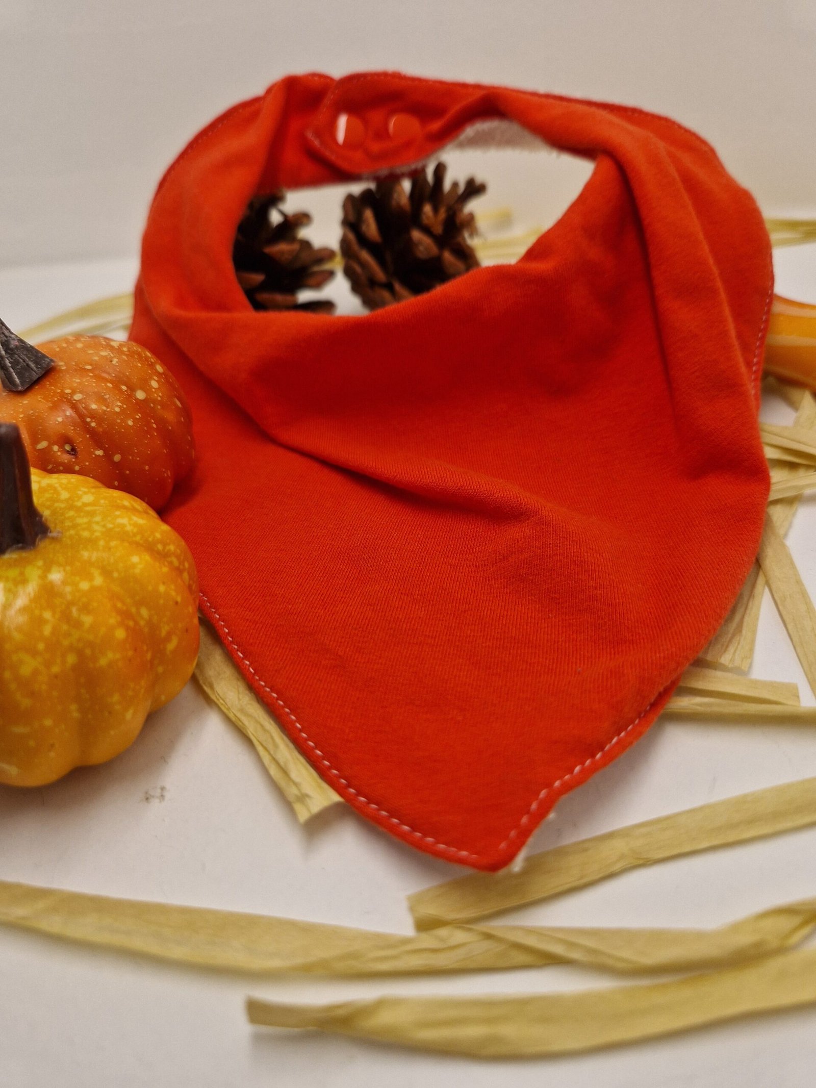 Bavoirs Bandana – Image 6